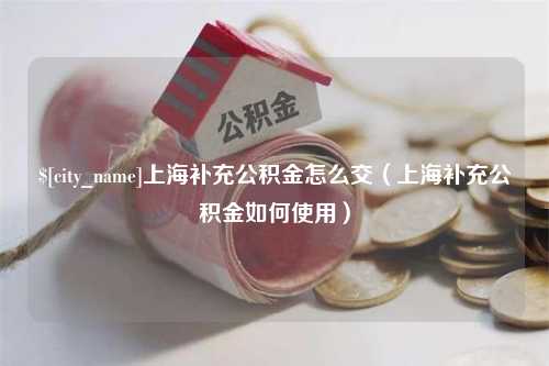 建湖上海补充公积金怎么交（上海补充公积金如何使用）